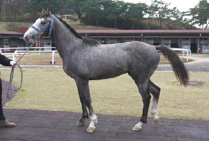 ����� ����