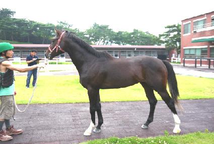 ����Ʈ���� ����