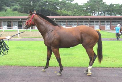 ��ùٴ� ����