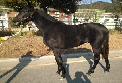 ����� ����