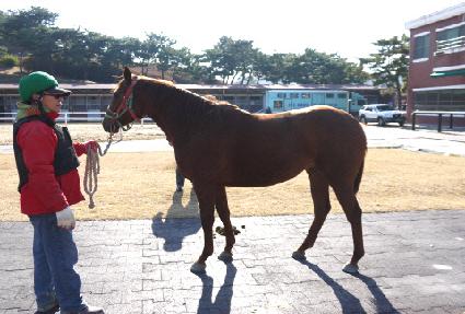 �ٳ��� ����