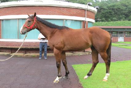 ��Ʈ�շ��� ����