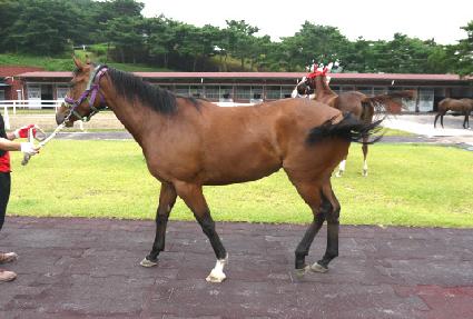 Ŭ���̸ƽ� ����