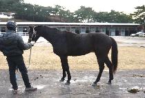 ���� (GWANGSOK) ����