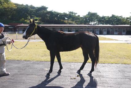 ���ڿ� ����