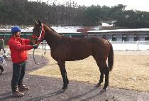 ���� (GWANGHAE) ����