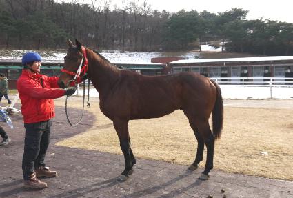 ���� ����