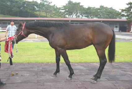 ȯ�������� ����