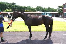 ��ġ�� (GOOD CHEERS) ����