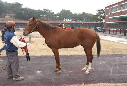 ����ġ ����