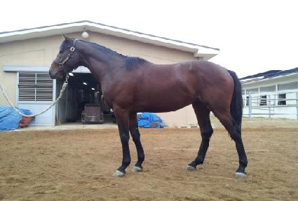 ���ĸ��� ����