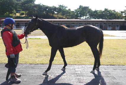 ��ũ����� ����