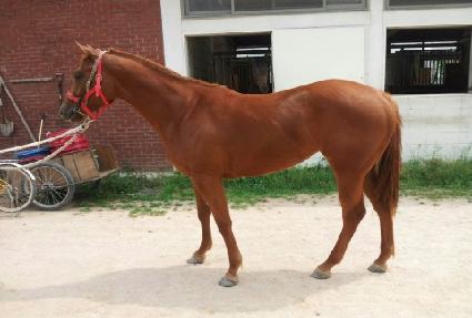 �ս�Ʈ���̵� ����