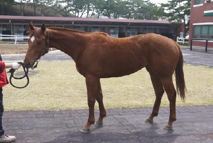 �������̾�Ʈ ����