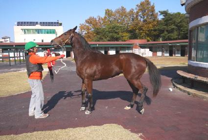 �ƽ�Ÿ ����