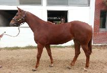 ���� (EUNHA) ����