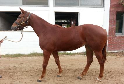 ���� ����