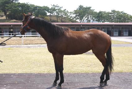 �� ����