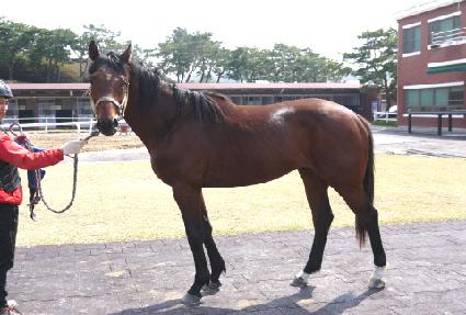 ����ô� ����