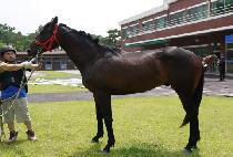 �ѽ� (HANSIN) ����