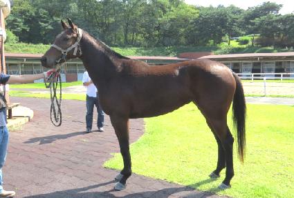 ���� ����