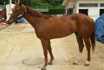 BETTER THAN YOU picture