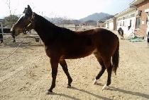 Ž����� (TAMNA MYEONGJANG) ����