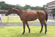 �ݺ����� (GEUMBIT DEULPAN) ����