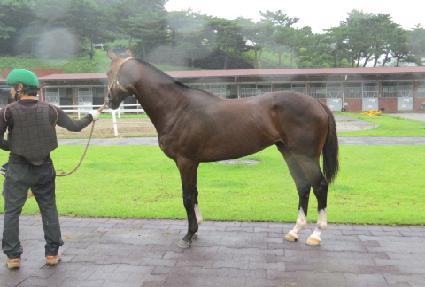 �����۷θ� ����