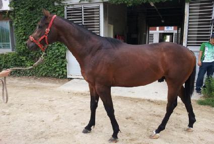 ����ũ��� ����