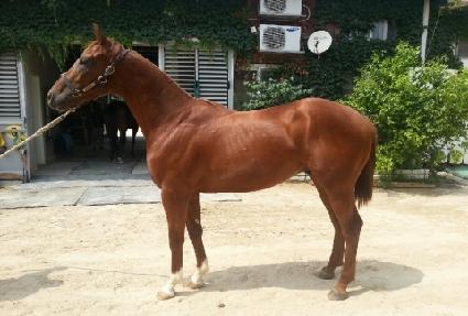 ��������� ����