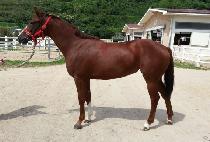 ���ڿ� (PICO ONE) ����