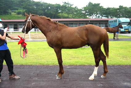 ���Ÿ���Ÿ ����