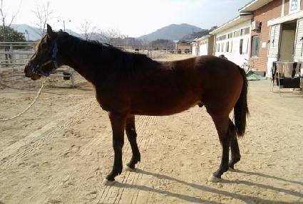 Ž����� ����