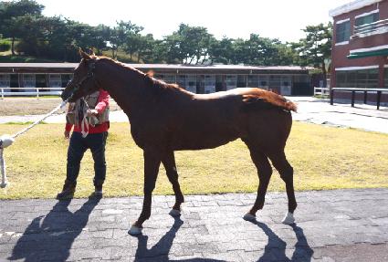 ����Ƽ�ƶ��� ����