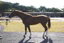 ����Ʈ���� (BEST NINE) ����