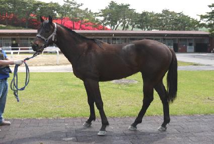 ���������� ����