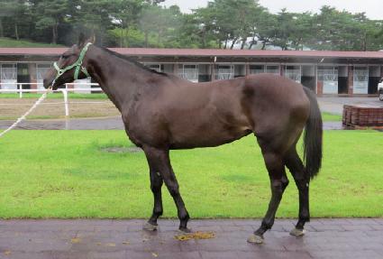 ��ũ���� ����