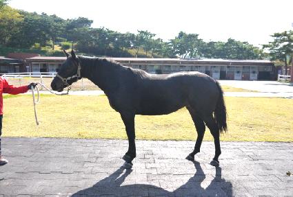 ������ ����