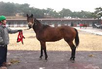 ������ (MIJEUNGYU) ����