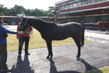 ���̽�ŸƮ ����