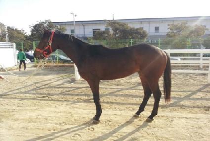 ũ���ȣũ ����