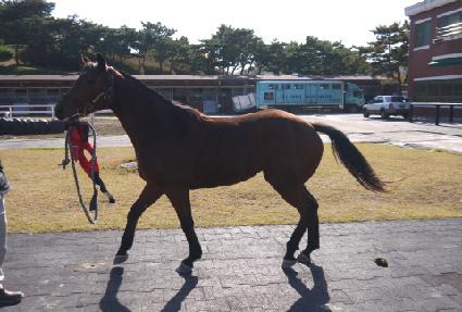 ����Ʈ ����