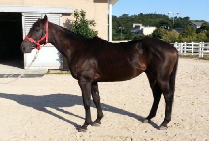 �ٶ������� ����