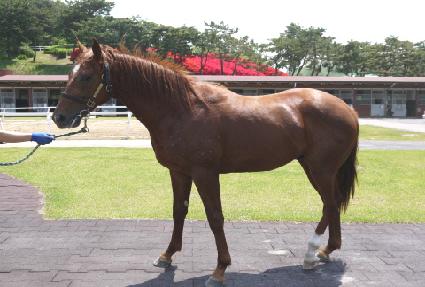 ȣ���� ����