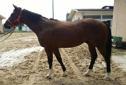 �����Ǻ� ����