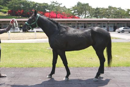 ��Ÿ���� ����