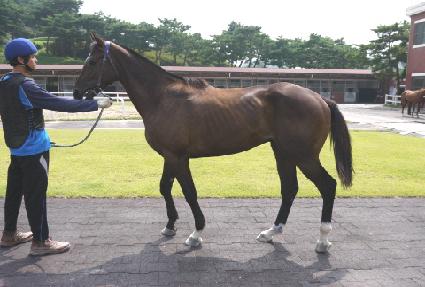 �Ĺ��̵��� ����