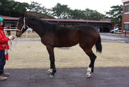 �ݼ��̾��� ����