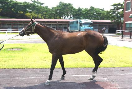 ���Ÿ��� ����